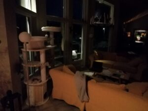 34319473_913383372177682_4832876194221260800_n