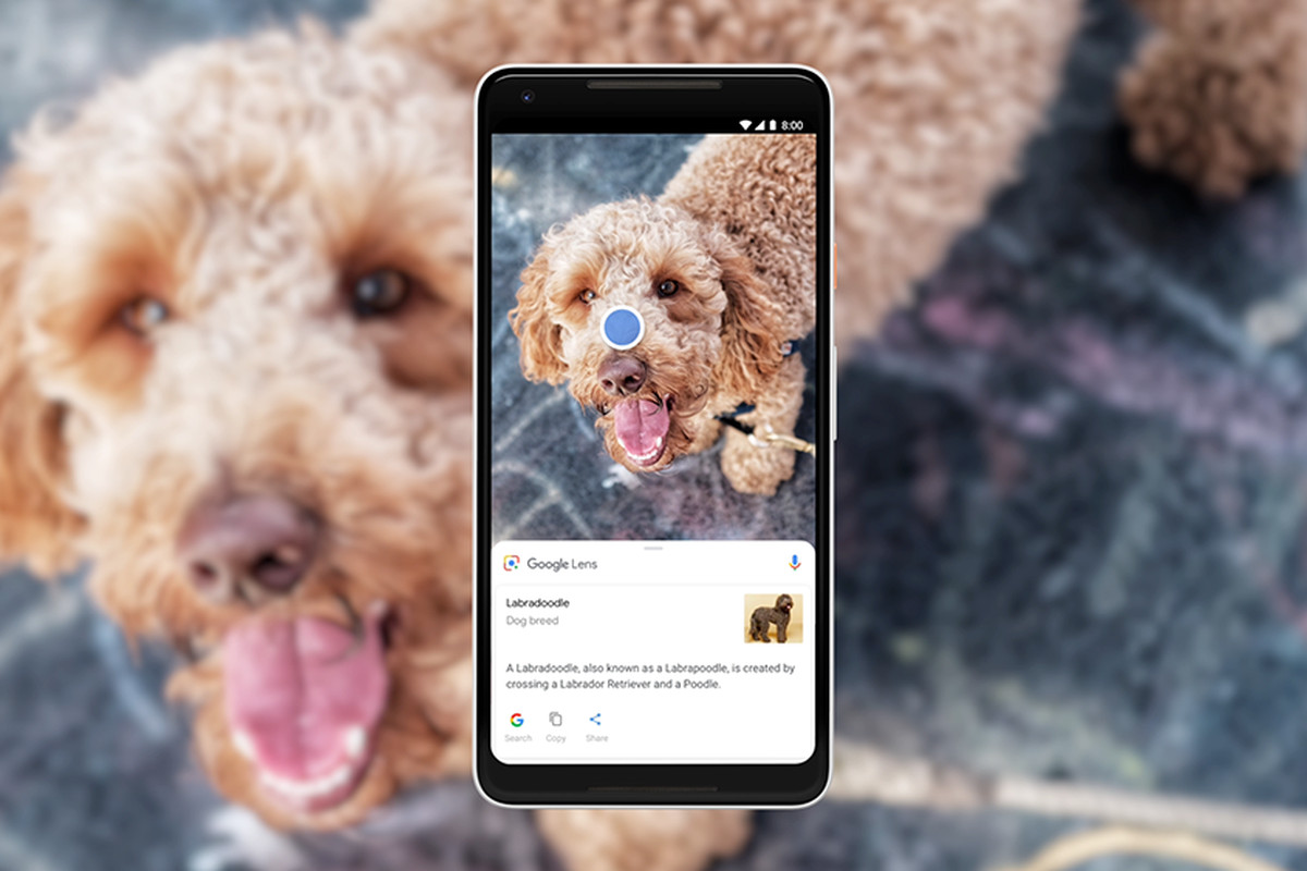 Google Lens Dog 1.0