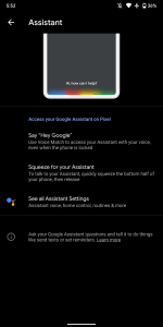 google-app-10-53-assistant-on-pixel-settings.png