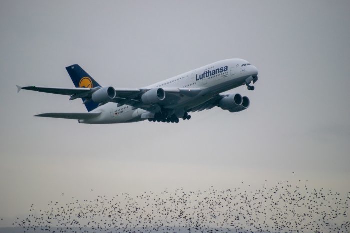 Lufthansa 45 700x467.jpg