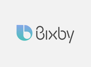 Bixby-1.png