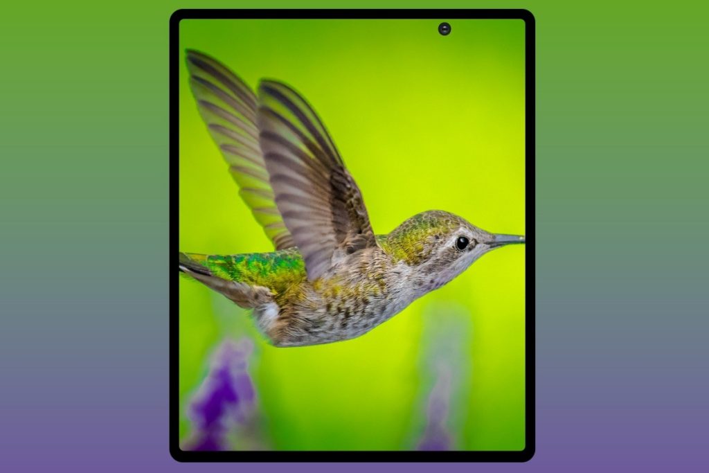 Samsung galaxy z fold 2 render.jpg