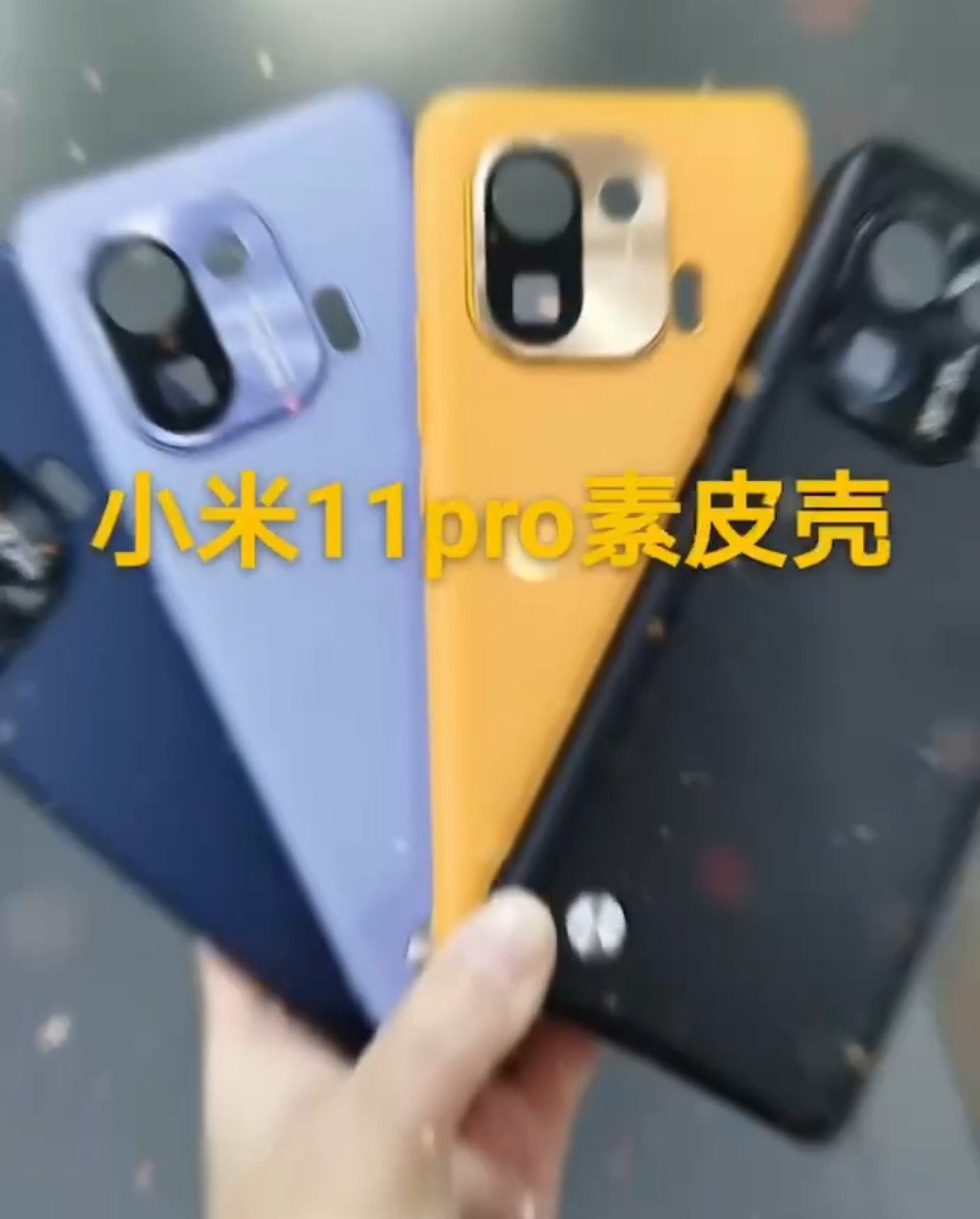 wp-1614435064803..jpg