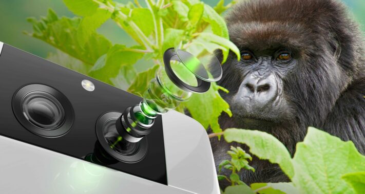 Corning Gorilla Glass Dx Products