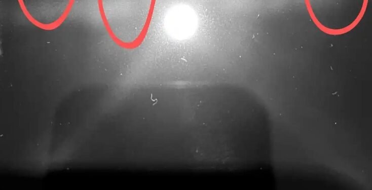 Screenshot 2023 11 21 02 17 10 19 40deb401b9ffe8e1df2f1cc5ba480b12