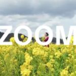 Screenshot 2024 05 14 11 56 03 45 0b2fce7a16bf2b728d6ffa28c8d60efb