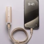 Wp 17194106004826831301886006393906