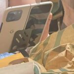 Pixel 9 Pro Fold Wild Leak 1+1